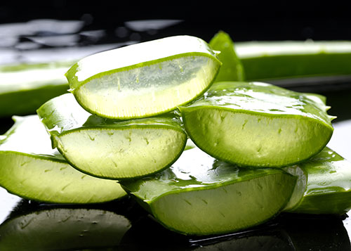 Aloe Vera Stems